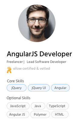 Angular JS Developer