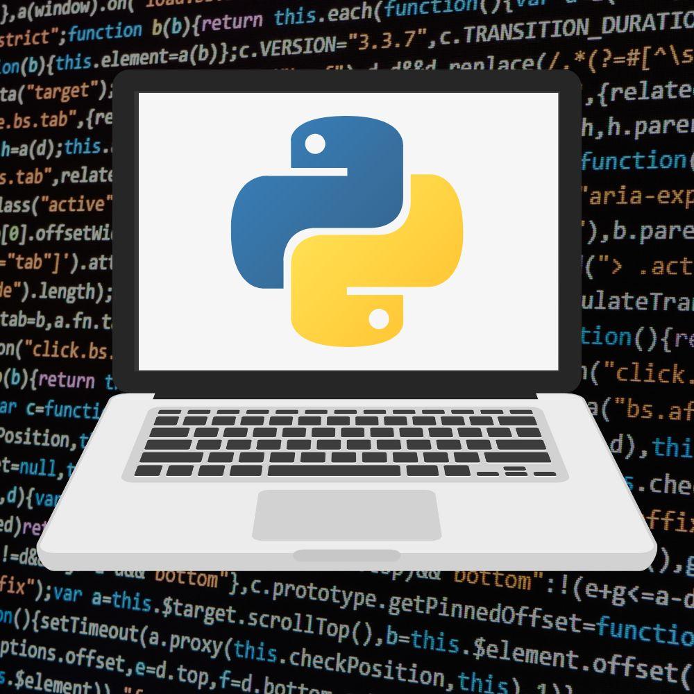 Python used by companies