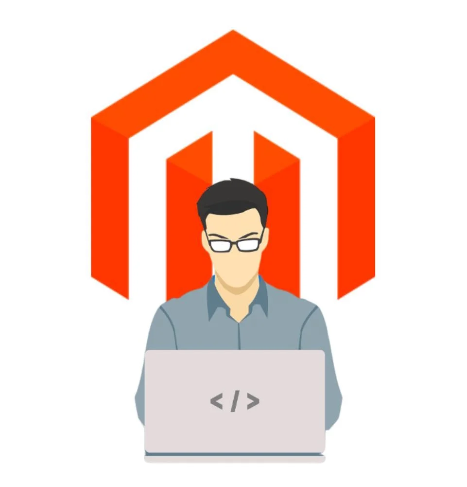 Magento developer