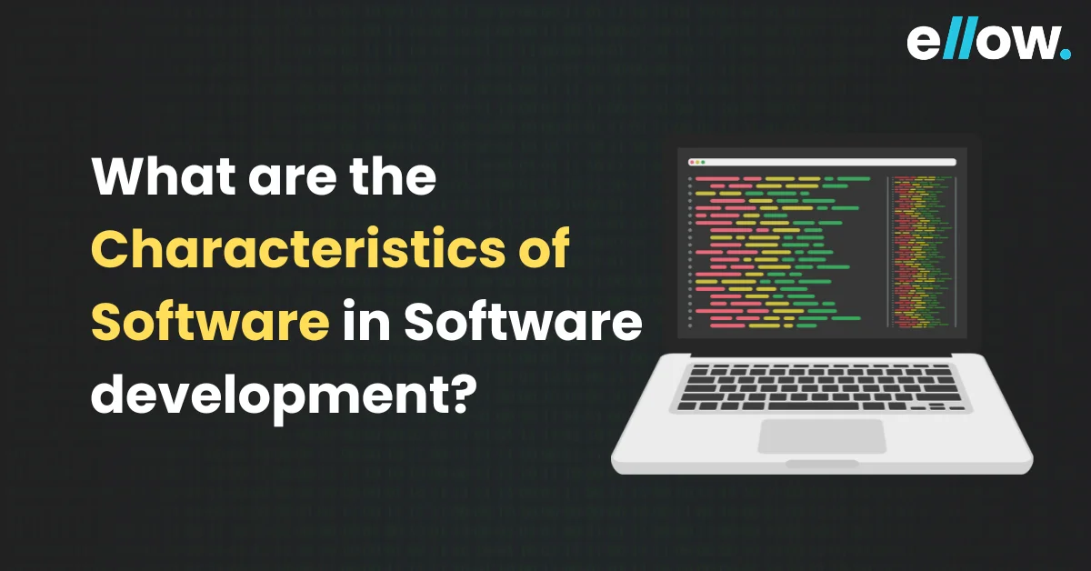 Characteristics of Software in Software development