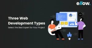 Three Web Development Types